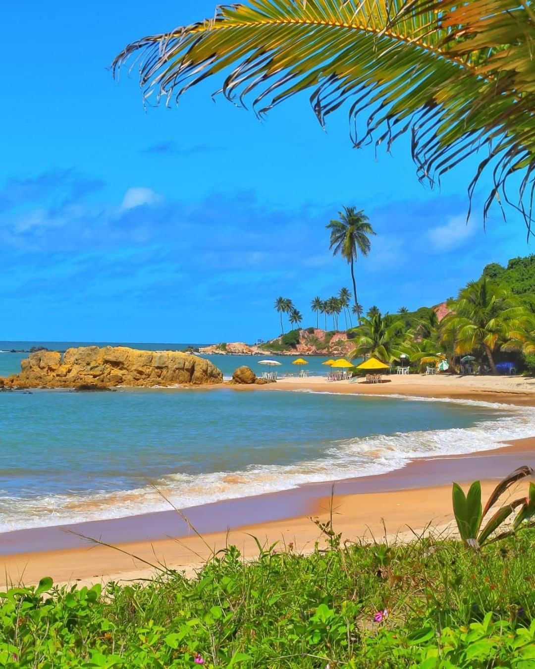 Flat Tabatinga Nord, Vista Para O Mar Конди Номер фото